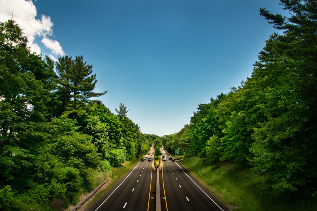 Texas Holiday Travel Insurance: What Your Auto Policy Covers (And Doesn't) During Christmas Road Trips 16 black asphalt road between green trees under blue sky during daytime